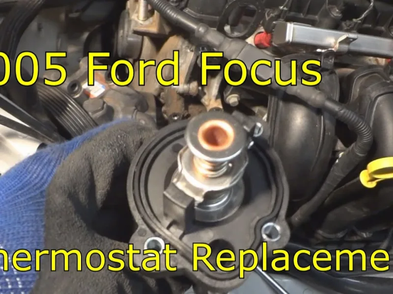 Ford Focus 4 Termostat Gövdesi & Su Pompası (Devirdaim)