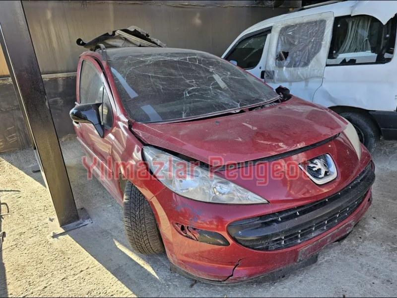 Peugeot 308 Mk1 Benzin / Mazot Dağıtıcı Kütük (Rail)